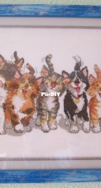 Suzy´s Zoo - Cats (tails) of Duckport