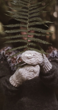 Moorland mittens by Tania Barley