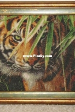 KUSTOM KRAFTS Emerald Forest Tiger