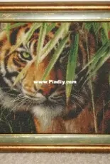 KUSTOM KRAFTS Emerald Forest Tiger