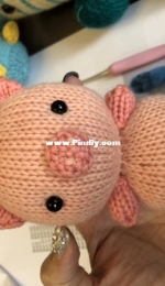 pig