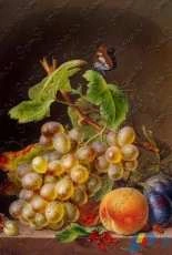 EstE 014 Still Life with Fruit and A Butterfly