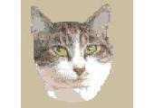 Free cat by Alan Binding: Sheba