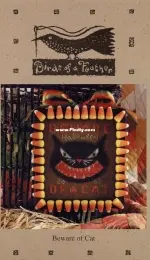 Birds of a Feather - Beware of Cat PCS + XSD