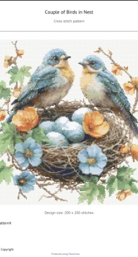 XStitchPatternX - Couple of Birds in Nest by Katerina Ayupova XSD