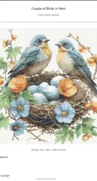 XStitchPatternX - Couple of Birds in Nest by Katerina Ayupova XSD