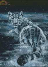 HAED HAEAEN 125 Nebula by Arden Ellen Nixon