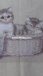 Two Cats in basket