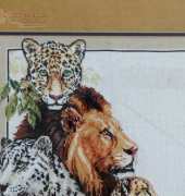 Dimensions Gold Big Cats