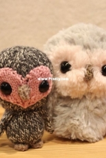 Owlentines by Rachel Borello Carroll