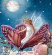 HAED HAENF 89 Fairy on Butterfly - Nancy Faulkner
