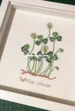 Kazuko Aoki - White clover XSD