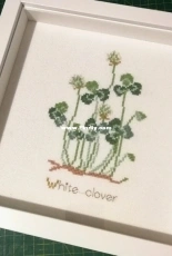 Kazuko Aoki - White clover XSD