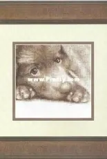 "Embroidered paintings"  puppy