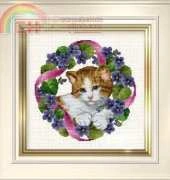 Ellen Maurer Stroh EMS 055 - Flowercat Angela