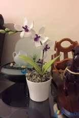Lisahandmade- Lisa Lisa- Orchid flower 2