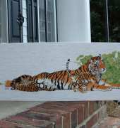 my tigers
