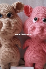 pig