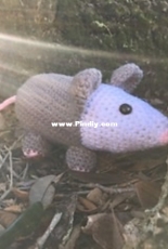 Mollie L - Yam the Possum - Free