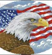 Dimensions 357 Freedom Eagle