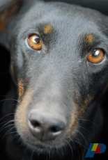 The only love you can buy for money is the love in these eyes_Zeya