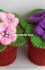 Little Owls Hut  - Violet Flowers in Pots