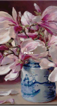 Nadima 180818- Magnolia