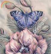 HAED HAEJB001 The Journey Never Ends by Jody Bergsma