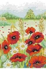 Anchor  AK114 Poppy Field PCS
