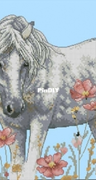 Dimensions 70-35396 Wild horse