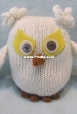 Owl curly