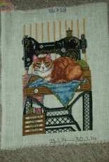Cats