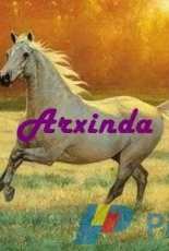 Arxinda - Caballo blanco