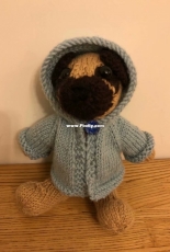 pug