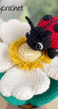 Erin May Crochet - Erin May - Ladybug - Free