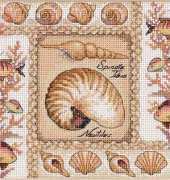 Dimensions 65089 Nautilus Shells