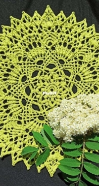 Nelly Klos - Starburst Doily - English