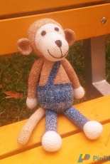 Monkey