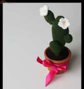Magic Phylum - Cristina Uggeri - Simple Cactus