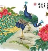 KCO - Peacocks