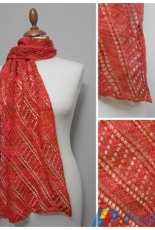Diagonale Shawl by Arlenes World of Lace -English-Free