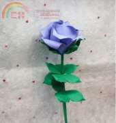 Rose by Phu Tran