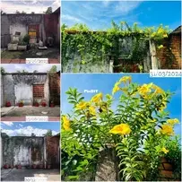 DIY-Flower wall