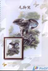 I Love CrossStitch ZXL-002 - Buteo Lagopus