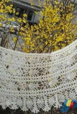 Pineapple Shawl