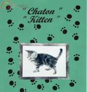 Dessins DHC - Chaton (Kitten)