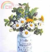 Fujico Daisies