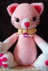 Pinky cat