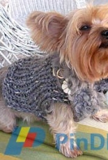 Furrrocious Dog Sweater by My Savannah Cottage -Free