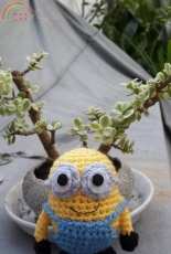 Minion